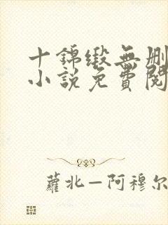 十锦缎无删原著小说免费阅读