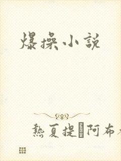 爆操小说