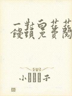 一对白花花的大馒头免费阅读