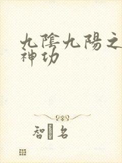 九阴九阳之阴阳神功