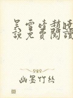 吴雪晴赵晓东小说免费阅读