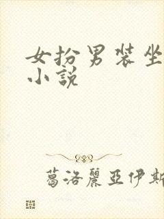 女扮男装坐江山小说