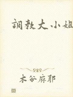 调教大小姐