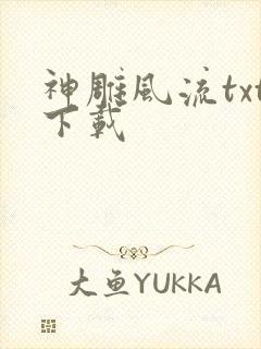 神雕风流txt下载