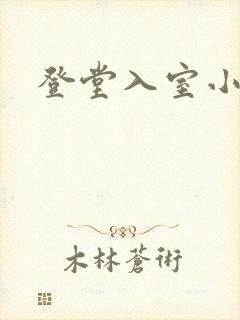 登堂入室小说