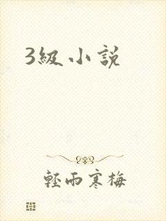 3级小说
