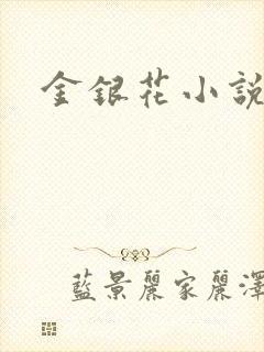 金银花小说乐可