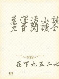 叶泽涛小说全文免费阅读全文封面