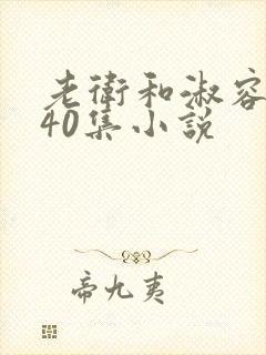 老卫和淑容1-40集小说