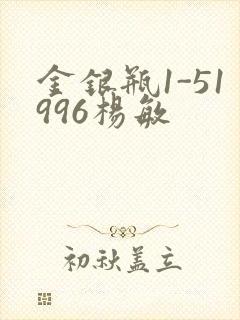 金银瓶1-51996杨敏
