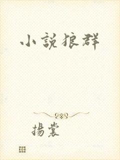 小说狼群