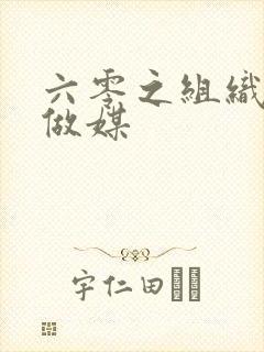 六零之组织给我做媒