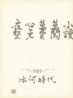 夜心万万小说完整免费阅读全文封面