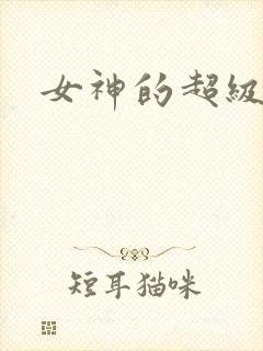 女神的超级赘婿封面