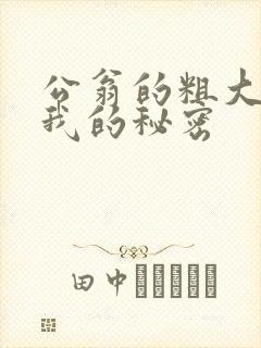 公翁的粗大放进我的秘密