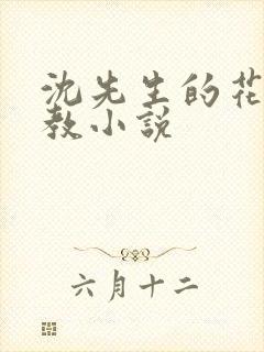 沈先生的花式调教小说