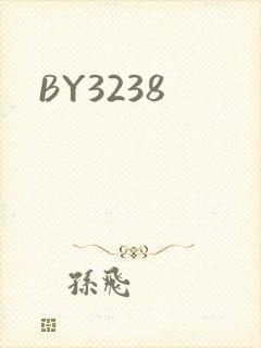 BY3238封面