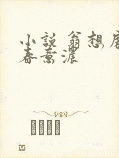 小说 翁想房中春意浓