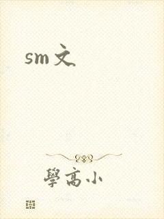 sm文