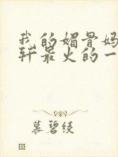 我的媚骨妈妈林轩最火的一句