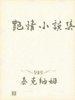 艳情小说集封面