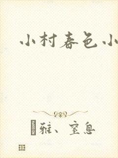 小村春色小说