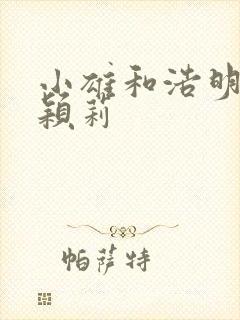 小雄和浩明夹击颖莉封面