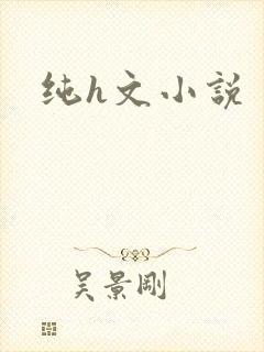 纯h文小说