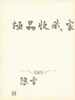 极品收藏家封面