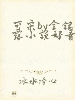 可宋by金银花露小说好看吗封面