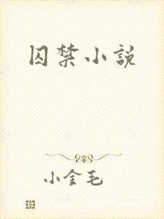 囚禁小说