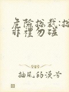 危险总裁:总裁非礼勿碰