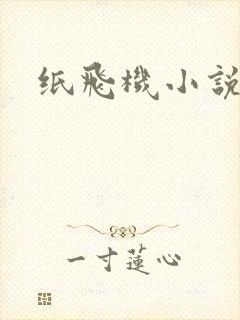 纸飞机小说