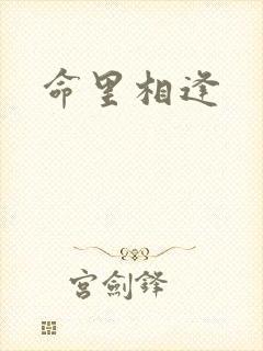 命里相逢