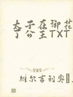 太子在御花园要了公主TXT封面