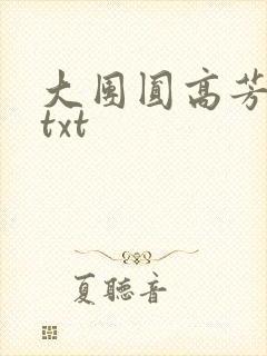 大团圆高芳小说txt