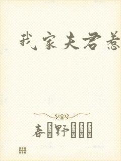 我家夫君惹不起