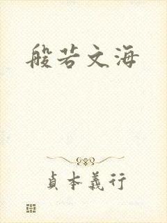 般若文海封面