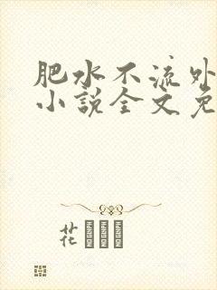 肥水不流外人田小说全文免费阅读1