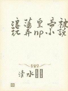 浪荡皇帝被多人玩弄np小说