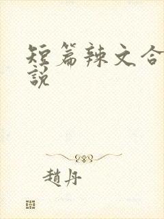 短篇辣文合集小说