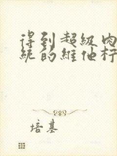 得到超级肉禽系统的维他柠檬茶