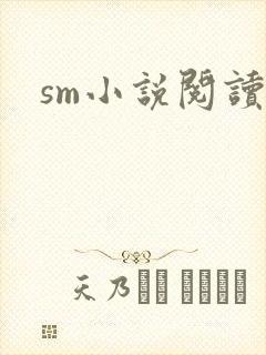 sm小说阅读