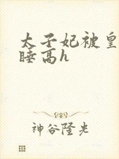 太子妃被皇上强睡高h