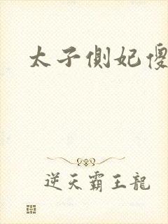 太子侧妃傻乎乎