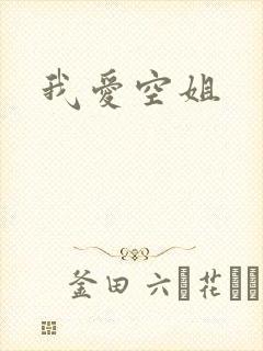 我爱空姐