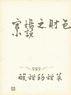 官场之财色诱人小说