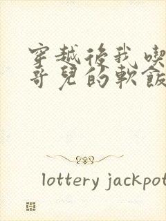 穿越后我吃到了哥儿的软饭炉山灰封面