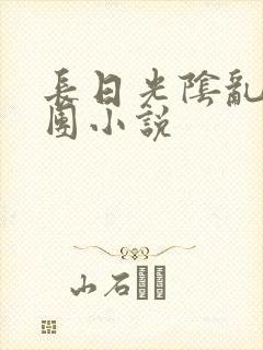 长日光阴乱作一团小说