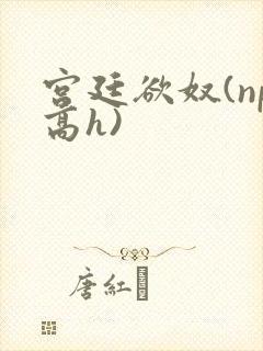 宫廷欲奴(np高h)